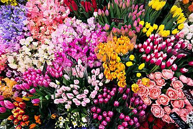 《超逼真的攻城模拟器》Steam抢先体验版发售 定价58元