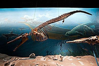 《索尼克 缤纷色彩 究极版》新要素公开 9月9日发售